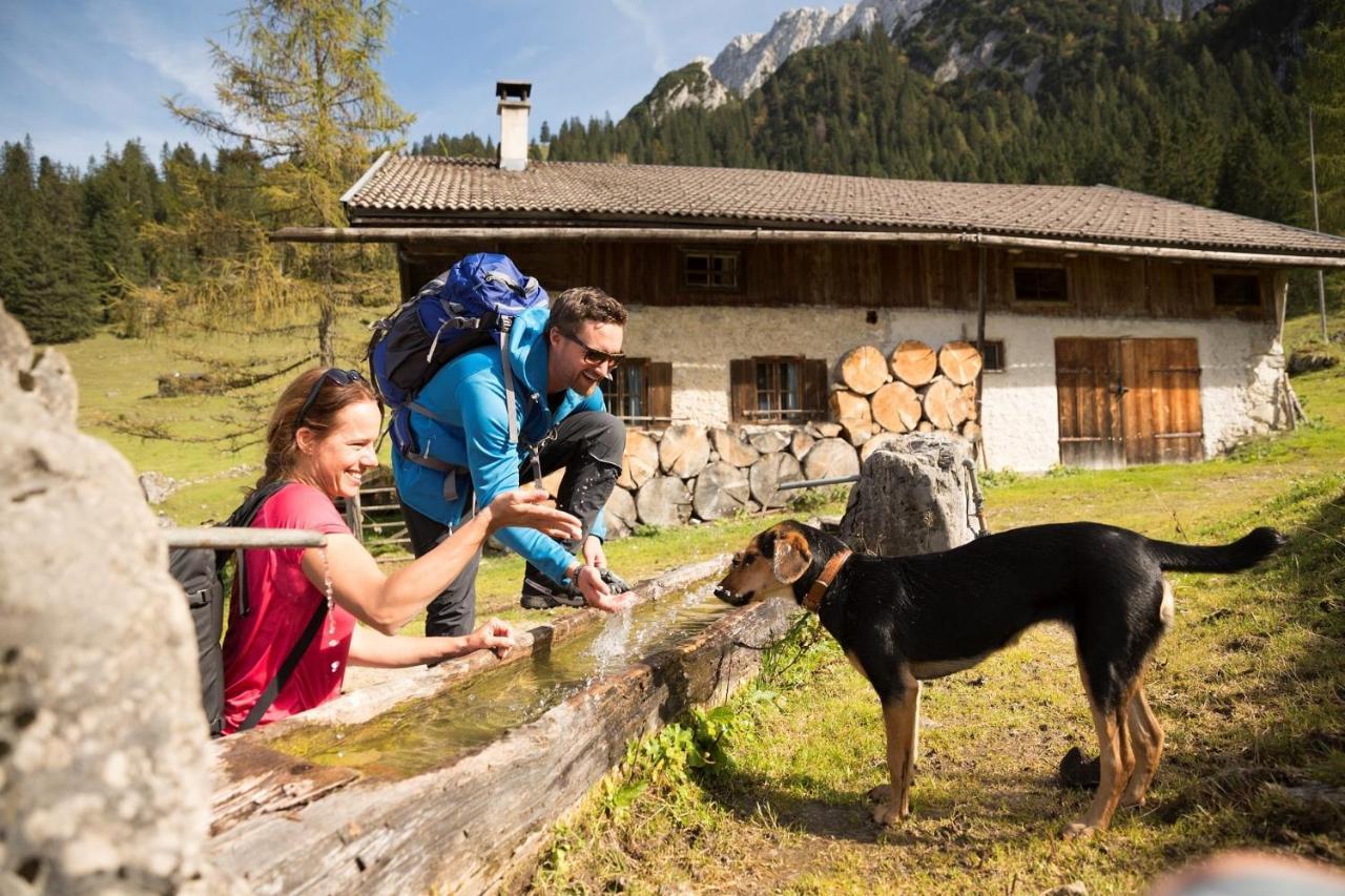 Alpenlodge, Ferienwohnung 16 Thiersee Kültér fotó
